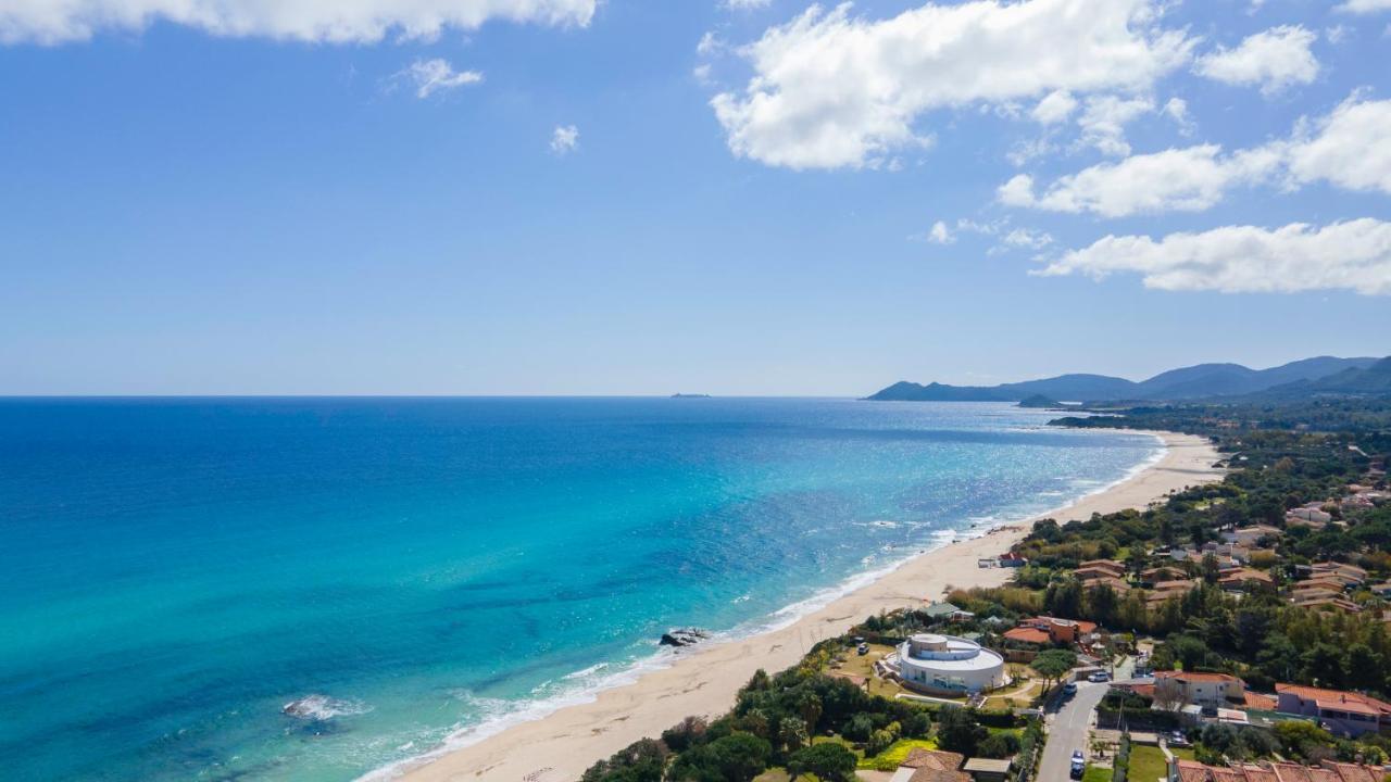 Free Beach 1240 - 50 Mt From The Beach 哥斯达雷 外观 照片